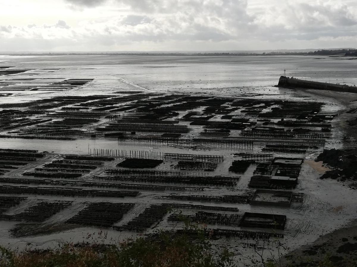 Chambres D'Hotes Les Fleurettes En Baie Du Mont Saint Michel Экстерьер фото